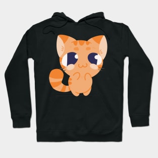 Cute ginger kitty Hoodie